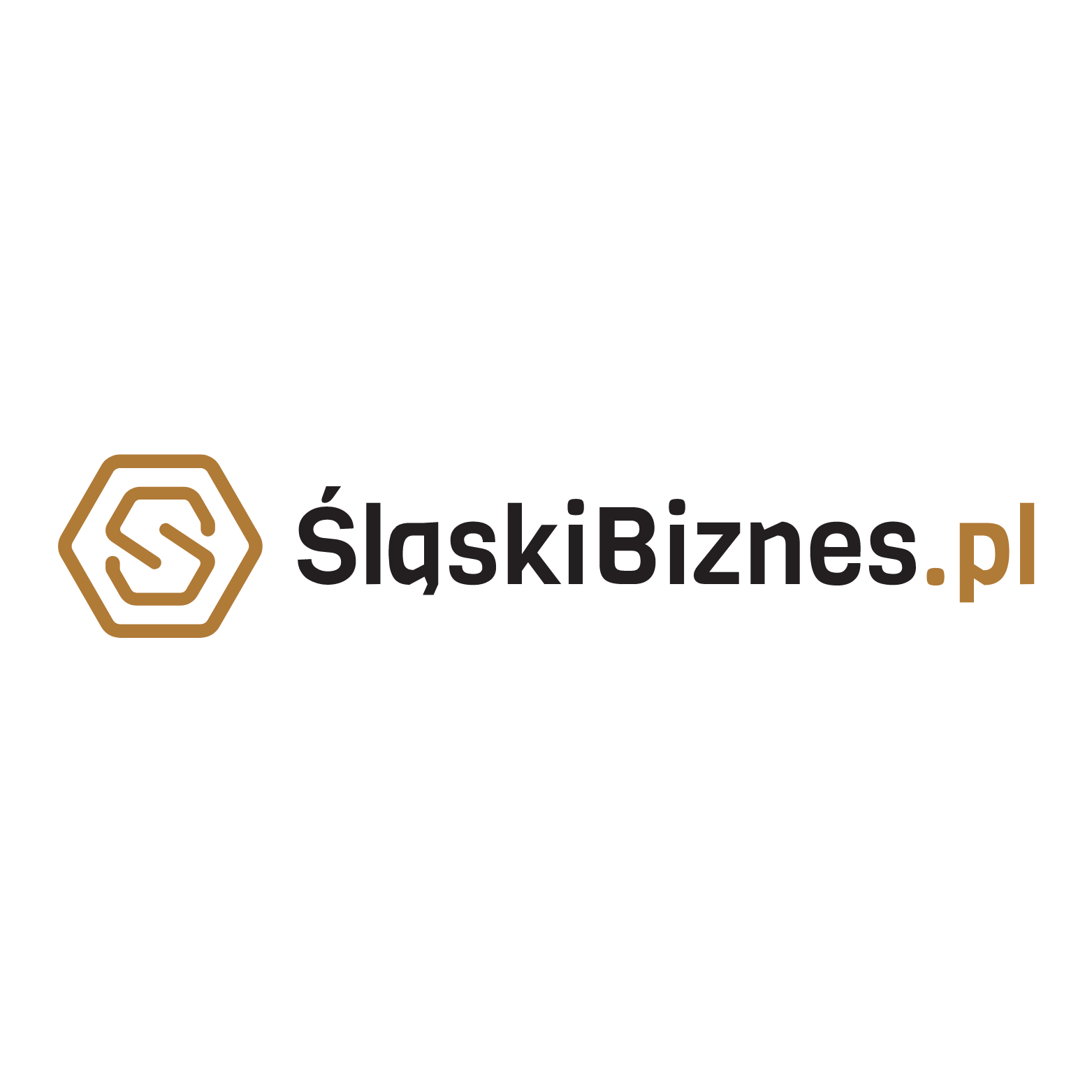 Slaski-biznes